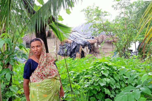 Amphan affected homes in the Sunderbans being restored to livable condition-15.08.2020 - Rupamanjari Biswas Amphan affected homes in the Sunderbans being restored to livable condition-15.08.2020 - Rupamanjari Biswas